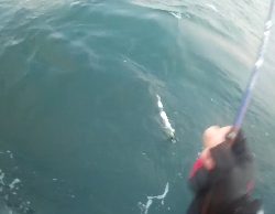 ドラゴンを求めて